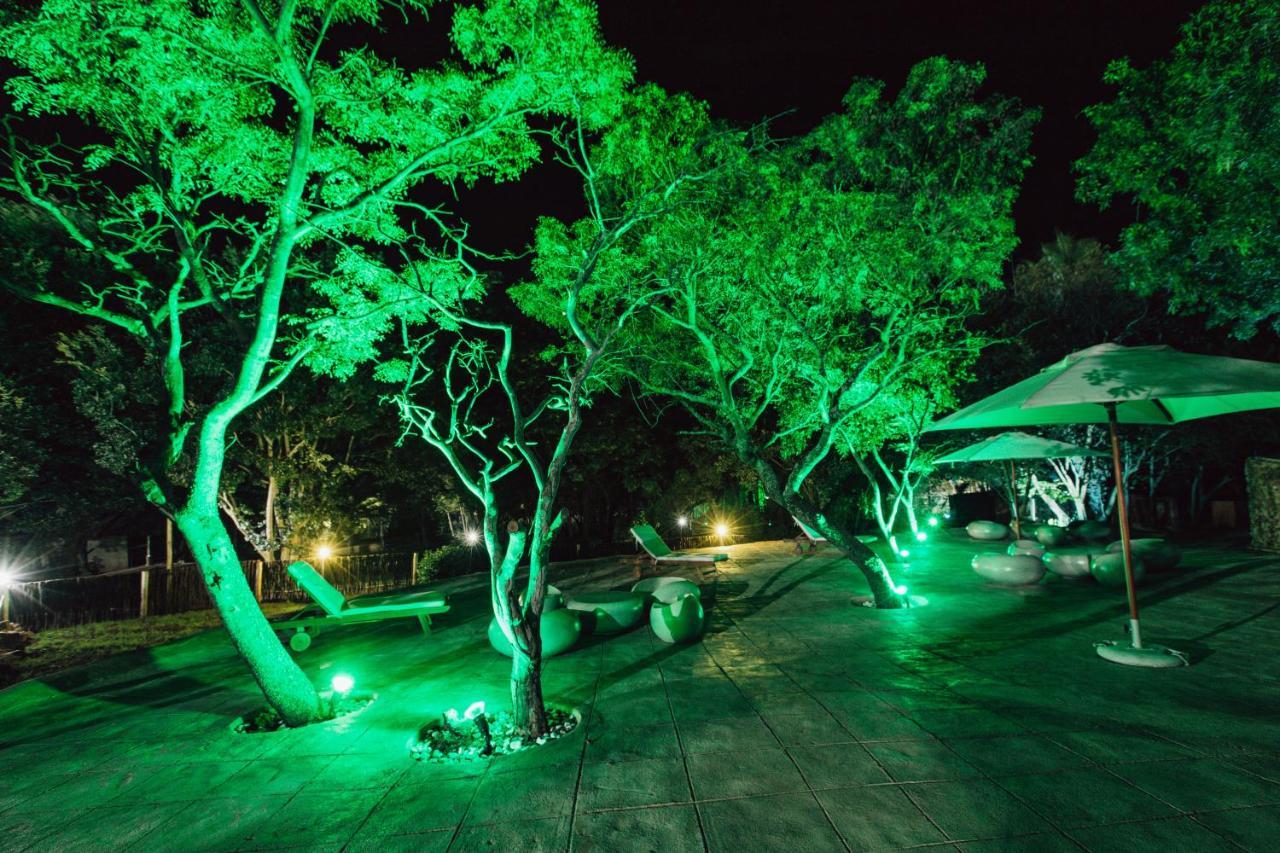 Pecan Bush Lodge Magaliesburg Dış mekan fotoğraf